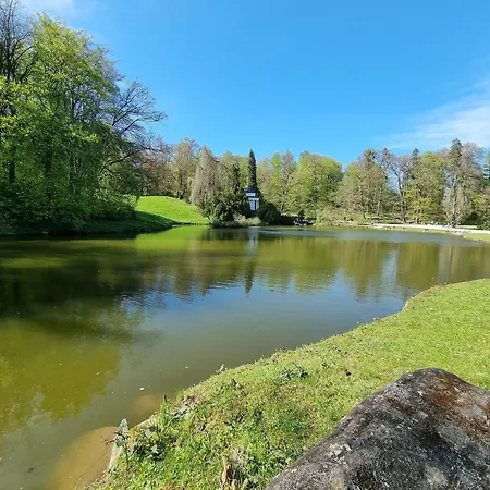 Exklusives Und Helles Erdgeschoss-apartment No 5 Im Zentrum Von Kassel, Schnelles 1gbit Internet, Geschirrspueler, Boxspringbetten 公寓 卡塞尔